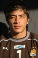 Fontes